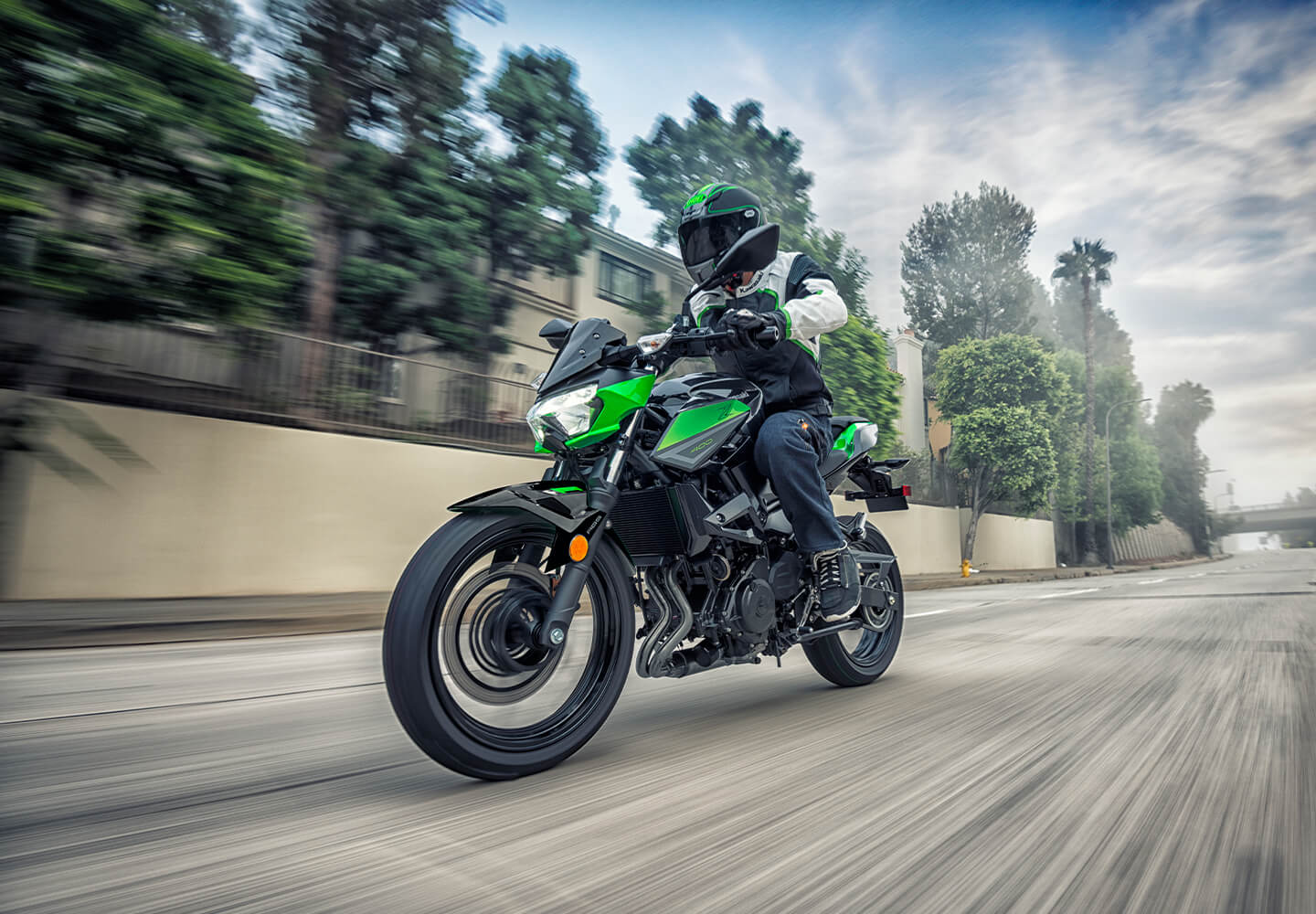 KAWASAKI TERYX: TERYX LE