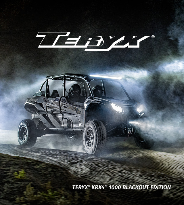 TERYX FAMILY: TERYX KRX4 1000 Blackout Edition SMALL IMAGE