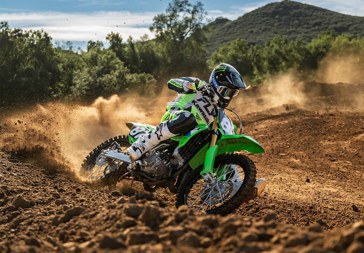 KAWASAKI TERYX: TERYX LE
